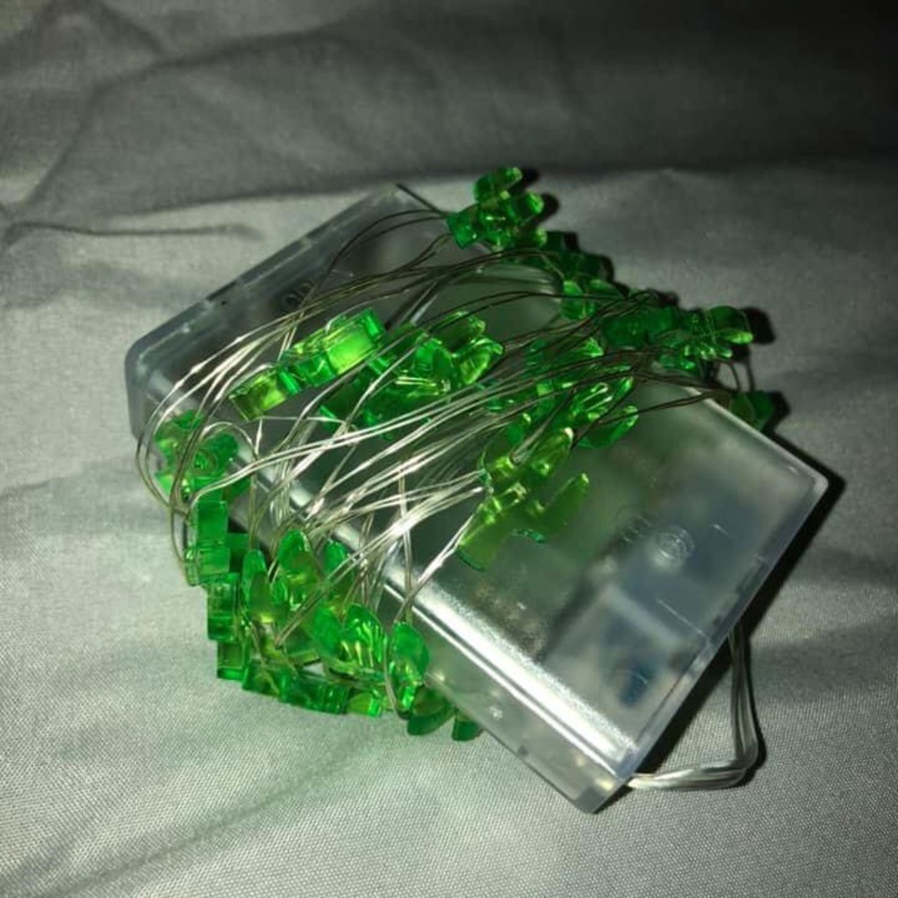 Cactus twinkle lights